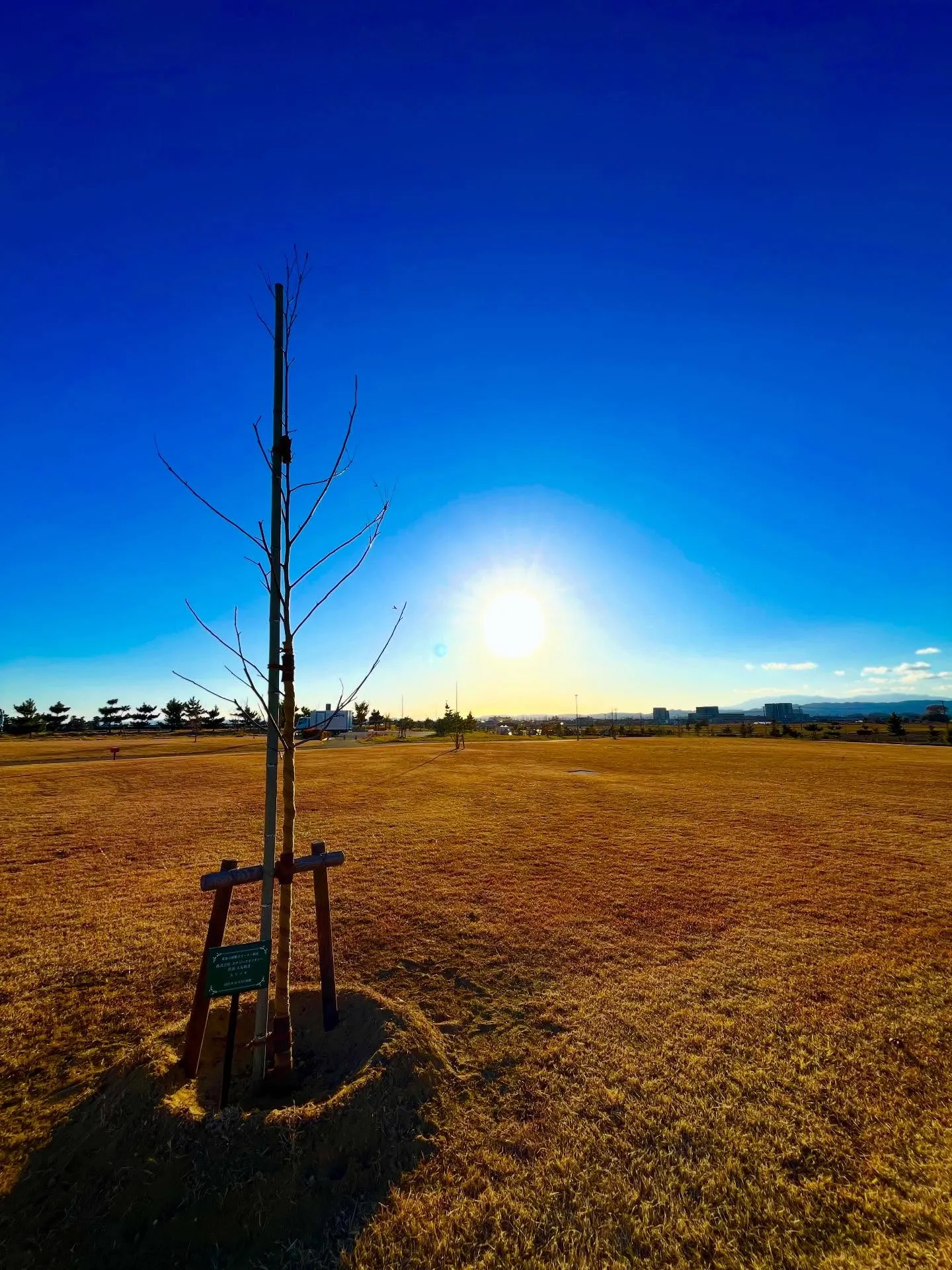 3.11(東日本大震災)からもう14年が経ちました。